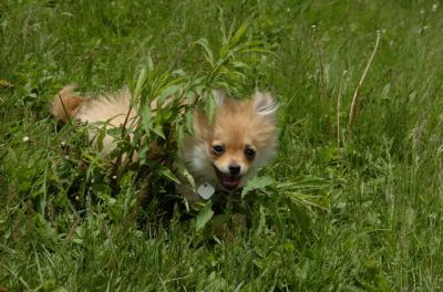 May7_06_379.JPG