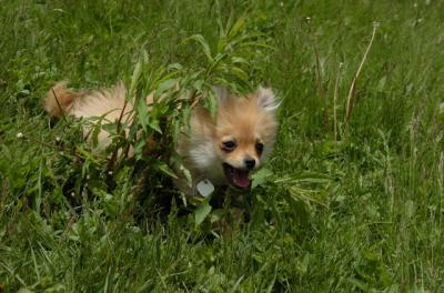 May7_06_380.JPG