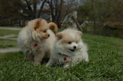 May7_06_383.JPG