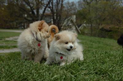 May7_06_384.JPG