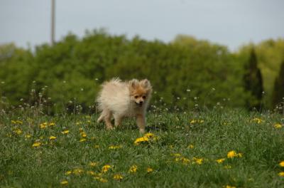 May7_06_387.JPG