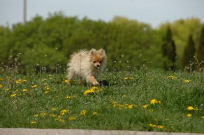 May7_06_388.JPG