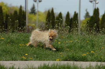 May7_06_389.JPG