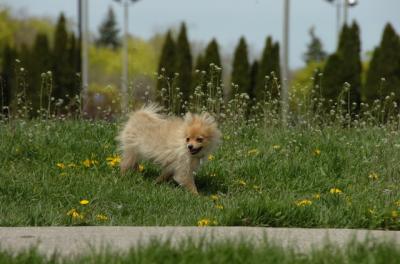 May7_06_390.JPG