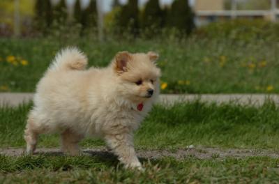 May7_06_392.JPG