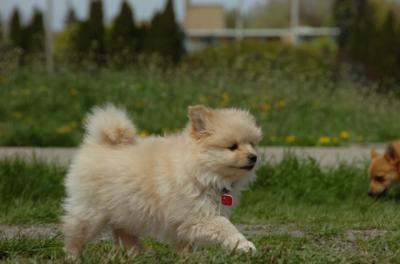 May7_06_393.JPG