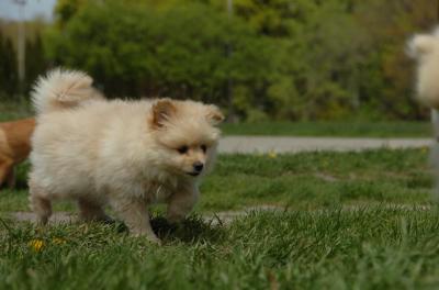 May7_06_394.JPG