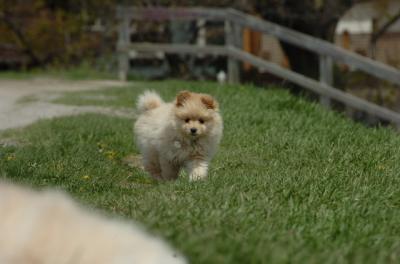 May7_06_396.JPG