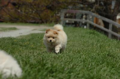 May7_06_398.JPG