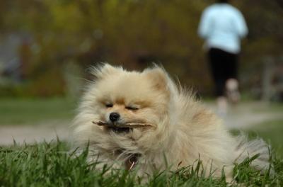 May7_06_402.JPG