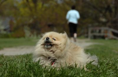 May7_06_404.JPG