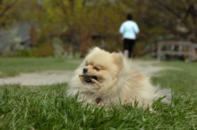 May7_06_406.JPG