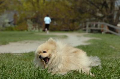 May7_06_407.JPG