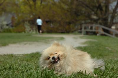 May7_06_408.JPG