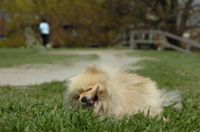 May7_06_409.JPG