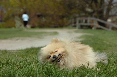 May7_06_410.JPG