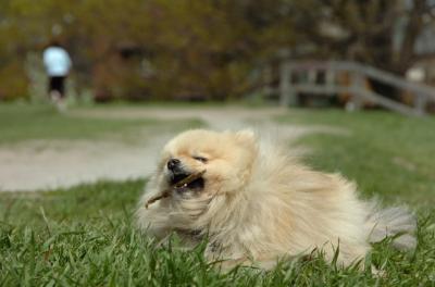 May7_06_411.JPG