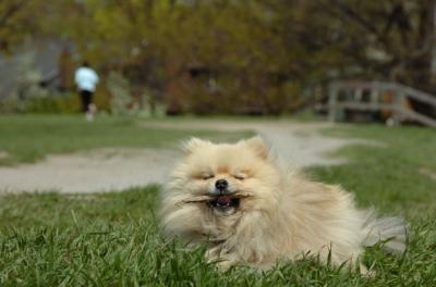 May7_06_415.JPG