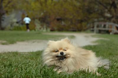 May7_06_416.JPG