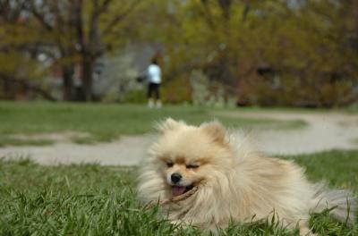May7_06_417.JPG
