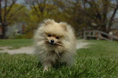 May7_06_419.JPG