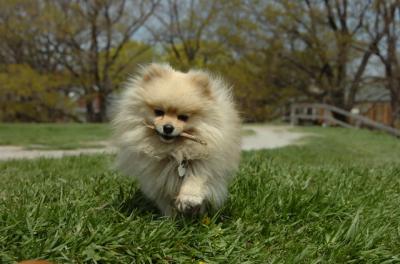 May7_06_420.JPG