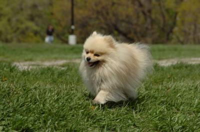 May7_06_422.JPG