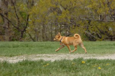 May7_06_423.JPG