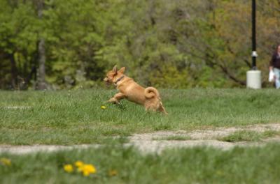 May7_06_424.JPG