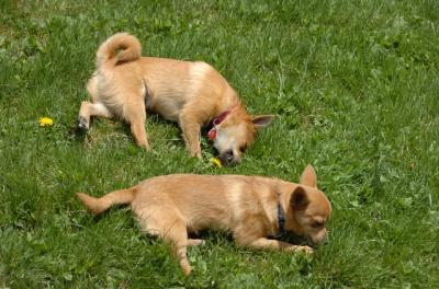 May7_06_425.JPG
