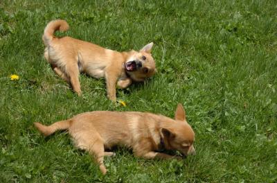 May7_06_426.JPG
