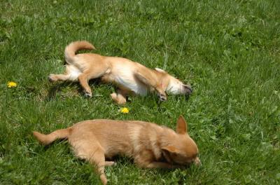 May7_06_427.JPG