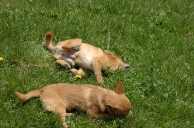 May7_06_428.JPG