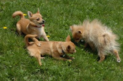 May7_06_429.JPG