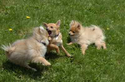 May7_06_430.JPG