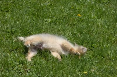 May7_06_432.JPG