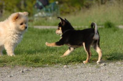 May14_06_197.jpg