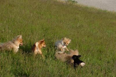 May14_06_200.JPG