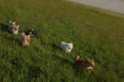 May14_06_210.JPG