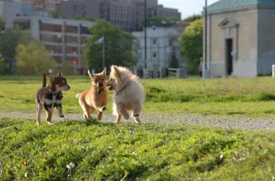 May14_06_213.JPG