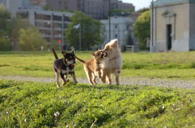 May14_06_214.JPG