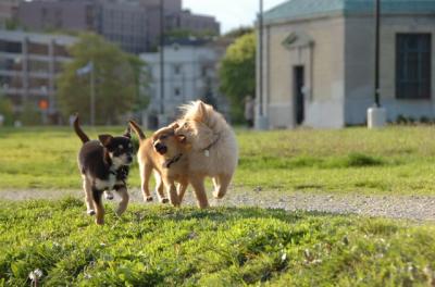 May14_06_216.JPG