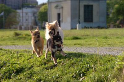 May14_06_218.JPG