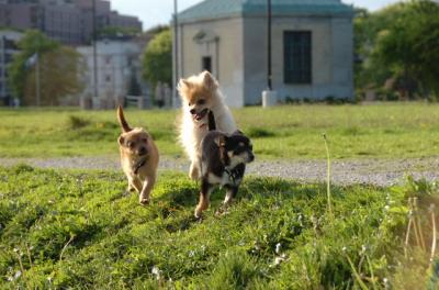 May14_06_219.JPG