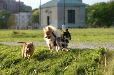 May14_06_220.JPG
