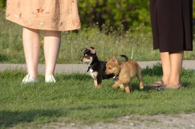 May14_06_221.JPG
