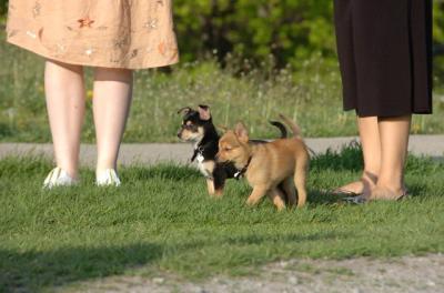 May14_06_222.JPG