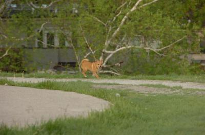 May14_06_227.JPG