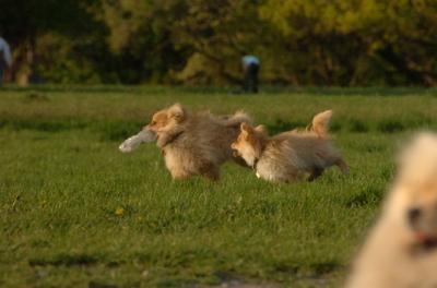 May14_06_228.JPG