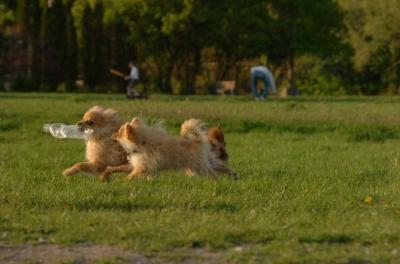 May14_06_231.JPG